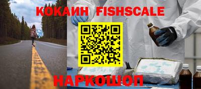 гидра Новодвинск