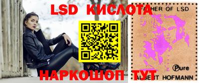 гидра Новодвинск