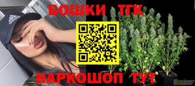 Альфа ПВП Новозыбков