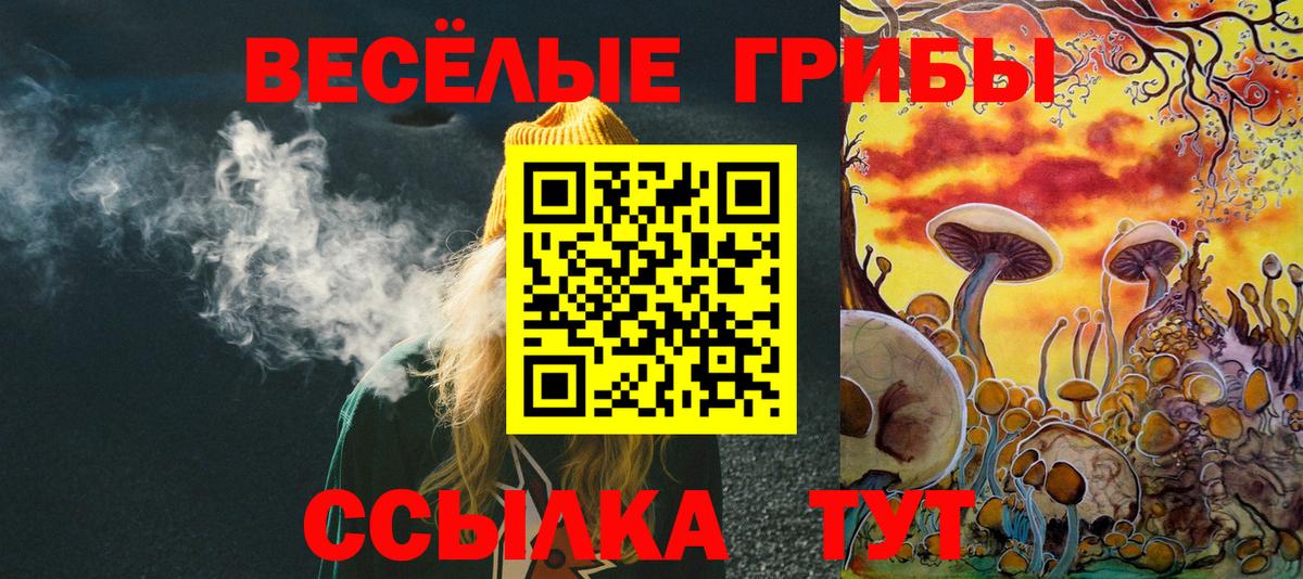 Рассказово  Псилоцибиновые грибы Magic Shrooms  Псилоцибиновые грибы Psilocybine cubensis  Вход с VPN 